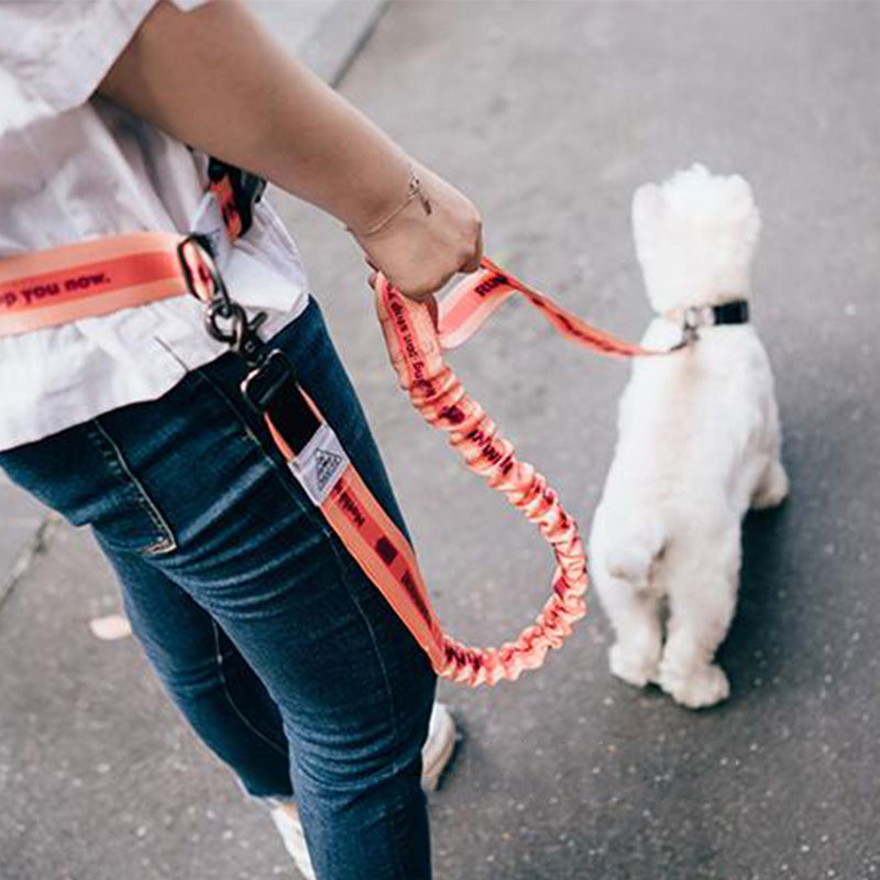 Running Jogging Gear - Ayarlanabilir El Ücretsiz Köpek Tasma Köpek