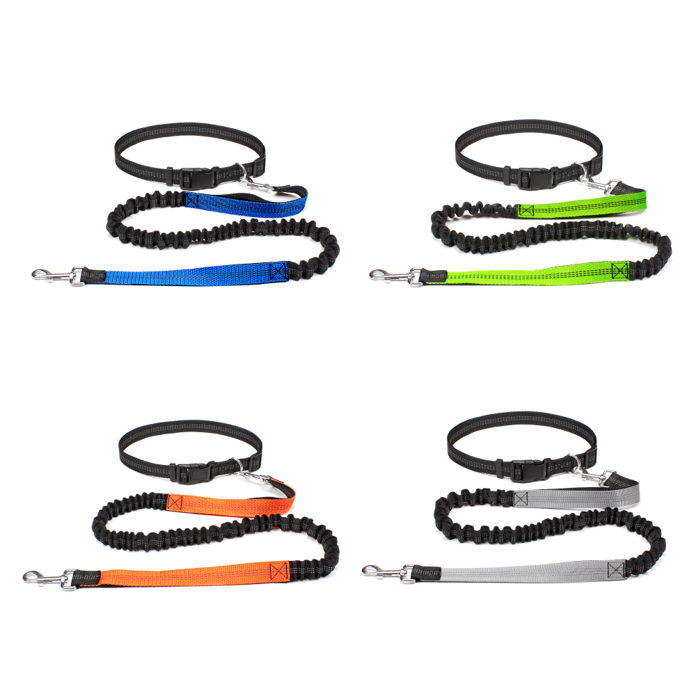Evcil Hayvanları Yürütmek, Koş - Running Jogging Gear incelemesi ve fiyatı