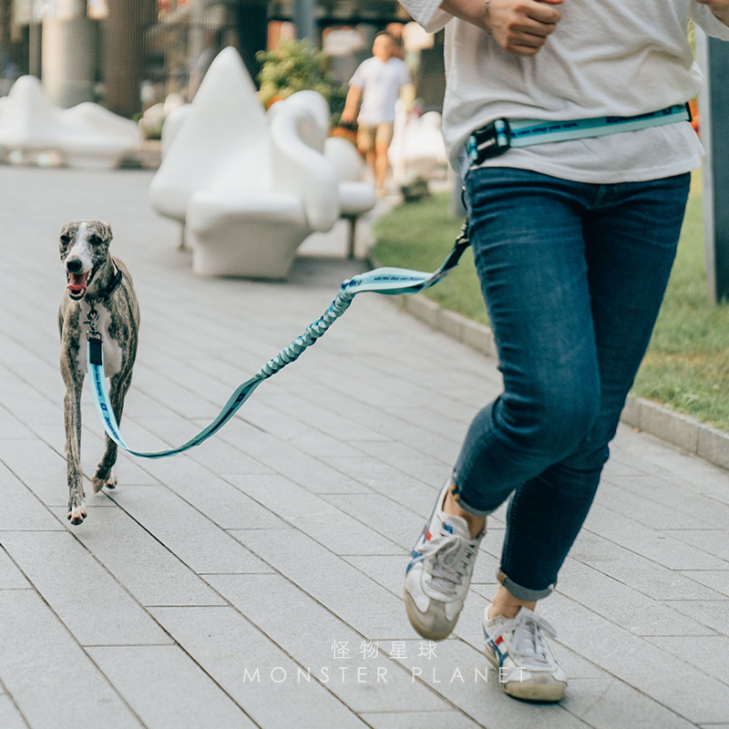 Ayarlanabilir El Ücretsiz Köpe - Running Jogging Gear incelemesi ve fiyatı